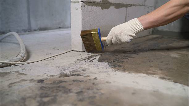 Top rated local Wet Basement Repair specialists in Haslett, MI